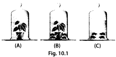 NCERT-Exemplar-Class-7-Science-Chapter-10-Gravitation-q16