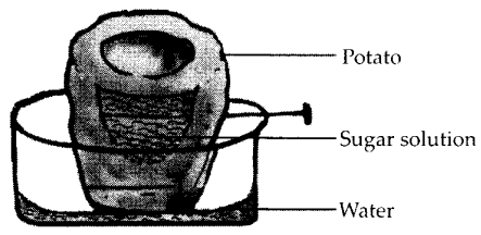 NCERT Exemplar Class 7 Science Chapter 11 Work and Energy q10.1