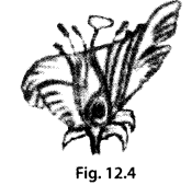 NCERT Exemplar Class 7 Science Chapter 12 Sound q 17