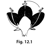NCERT-Exemplar-Class-7-Science-Chapter-12-Soundq11