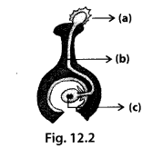 NCERT Exemplar Class 7 Science Chapter 12 Soundq13
