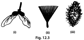 NCERT Exemplar Class 7 Science Chapter 12 Soundq15
