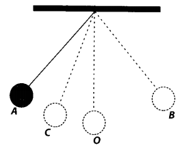 NCERT Exemplar Class 7 Science Chapter 13 Motion and Time q7