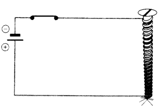 NCERT Exemplar Class 7 Science Chapter 14 Electric Current and Its Effects Q17