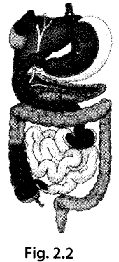 NCERT Exemplar Class 7 Science Chapter 2 Is Matter Around Us Pure q28