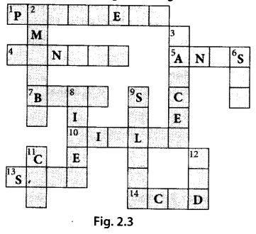 NCERT Exemplar Class 7 Science Chapter 2 Is Matter Around Us Pure q30.1