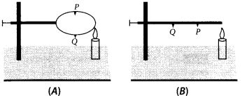 NCERT Exemplar Class 7 Science Chapter 4 Structure of the Atom q13