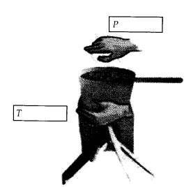NCERT Exemplar Class 7 Science Chapter 4 Structure of the Atom q19