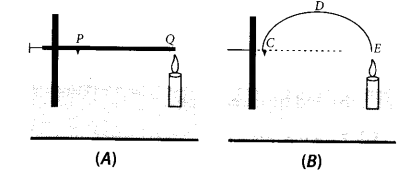 NCERT Exemplar Class 7 Science Chapter 4 Structure of the Atom q20