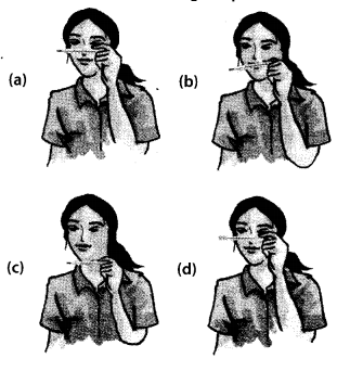 NCERT Exemplar Class 7 Science Chapter 4 Structure of the Atom q6
