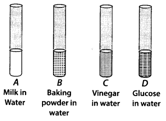 NCERT-Exemplar-Class-7-Science-Chapter-5-The-Fundamental-Unit-of-Life-q15