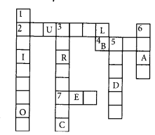 NCERT Exemplar Class 7 Science Chapter 5 The Fundamental Unit of Life q20
