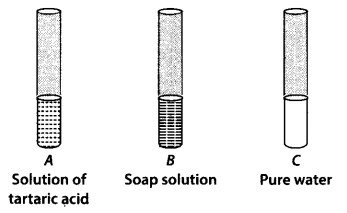 NCERT Exemplar Class 7 Science Chapter 5 The Fundamental Unit of Life q24