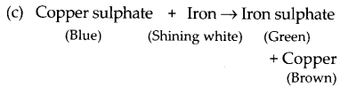 NCERT-Exemplar-Class-7-Science-Chapter-6-Tissues-q22