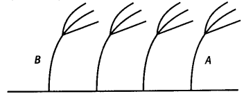 NCERT Exemplar Class 7 Science Chapter 8 Motion q14