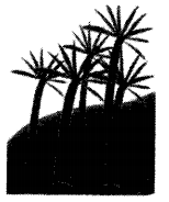 NCERT Exemplar Class 7 Science Chapter 8 Motion q21