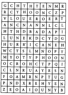 NCERT Exemplar Class 7 Science Chapter 8 Motion q22