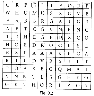 NCERT Exemplar Class 7 Science Chapter 9 Force and Laws of Motion q20