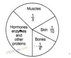 NCERT Exemplar Class 8 Chapter 2 Maths Data Handling-11