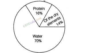 NCERT Exemplar Class 8 Chapter 2 Maths Data Handling-9