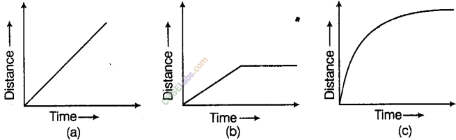NCERT Exemplar Class 8 Maths Chapter 12 Introduction to Graphs 19