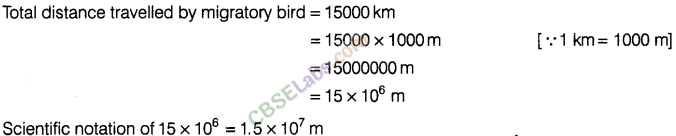 NCERT Exemplar Class 8 Maths Chapter 8 Exponents and Powers Img 152