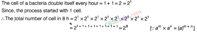 NCERT Exemplar Class 8 Maths Chapter 8 Exponents and Powers Img 176