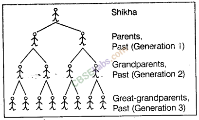 NCERT Exemplar Class 8 Maths Chapter 8 Exponents and Powers Img 189