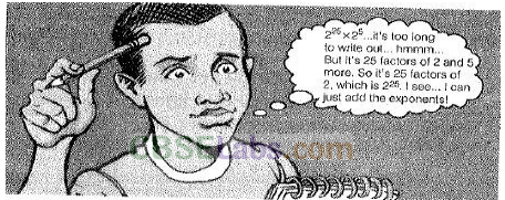 NCERT Exemplar Class 8 Maths Chapter 8 Exponents and Powers Img 210