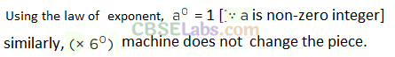 NCERT Exemplar Class 8 Maths Chapter 8 Exponents and Powers Img 211