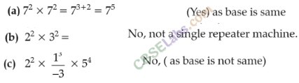 NCERT Exemplar Class 8 Maths Chapter 8 Exponents and Powers Img 224