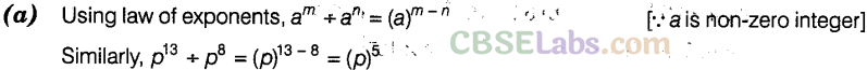 NCERT Exemplar Class 8 Maths Chapter 8 Exponents and Powers Img 38