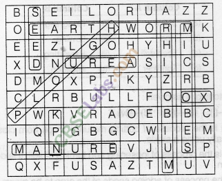 NCERT Exemplar Class 8 Science Chapter 1 Crop Production and Management 3