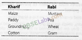 NCERT Exemplar Class 8 Science Chapter 1 Crop Production and Management 5