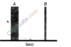 NCERT Exemplar Class 8 Science Chapter 11 Force and Pressure 11