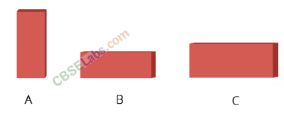 NCERT Exemplar Class 8 Science Chapter 11 Force and Pressure 5