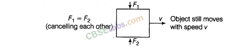 NCERT Exemplar Class 8 Science Chapter 11 Force and Pressure 8
