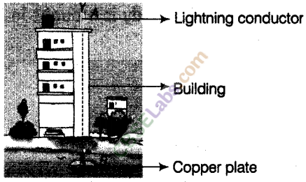 NCERT Exemplar Class 8 Science Chapter 15 Some Natural Phenomena 3