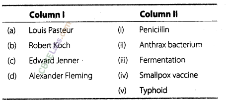 NCERT-Exemplar-Class-8-Science-Chapter-2-Micro-organisms-Friend-and-Foe-1