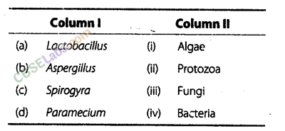 NCERT Exemplar Class 8 Science Chapter 2 Micro organisms: Friend and Foe 2