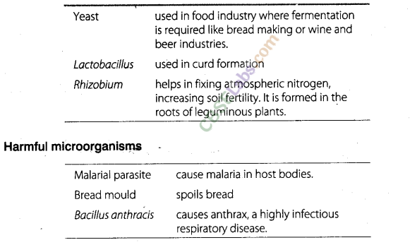 NCERT Exemplar Class 8 Science Chapter 2 Micro organisms: Friend and Foe 3