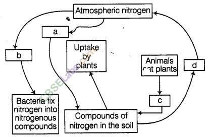 NCERT Exemplar Class 8 Science Chapter 2 Micro organisms: Friend and Foe 7