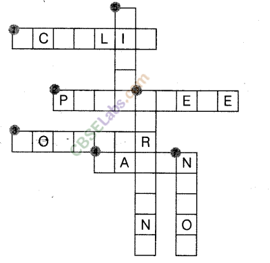 NCERT Exemplar Class 8 Science Chapter 3 Synthetic Fibres and Plastics 4