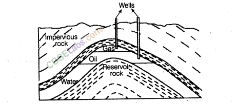 NCERT-Exemplar-Class-8-Science-Chapter-5-Coal-and-Petroleum-1-1