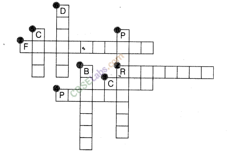 NCERT Exemplar Class 8 Science Chapter 5 Coal and Petroleum 3