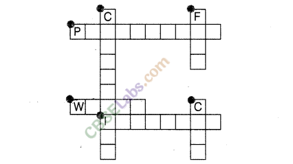 NCERT Exemplar Class 8 Science Chapter 6 Combustion and Flame 4