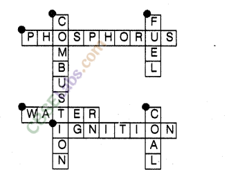 NCERT Exemplar Class 8 Science Chapter 6 Combustion and Flame 5