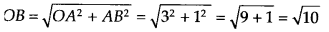 NCERT Exemplar Class 9 Maths Chapter 1 Number Systems 47