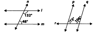 NCERT Exemplar Class 9 Maths Chapter 6 Lines And Angles 13
