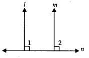 NCERT Exemplar Class 9 Maths Chapter 6 Lines And Angles 14